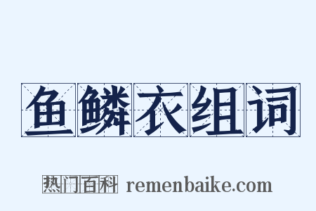 鱼鳞衣组词是什么意思的图片